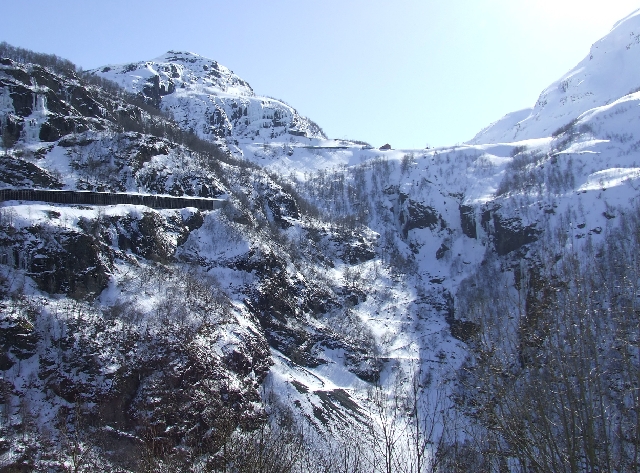Track the Trail.JPG